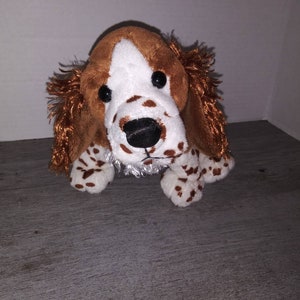 springer spaniel webkinz