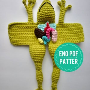 CROCHET PDF PATTERN Anatomical Frog, Frog&#39;s anatomy, educational toy frog dissection