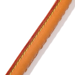 May include: Close-up of a tan leather handle with a red edge and gold stitching. The handle is cylindrical and appears to be part of a bag or accessory. The stitching is evenly spaced and adds a decorative element.