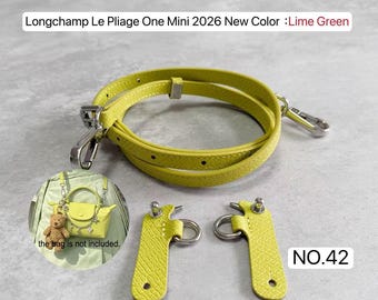 High Quality Leather Wrapping Fit "Longchamp MINI Bag" Leather Shoulder Handbag Strap,Replacement Handle,Metal Crossbody Bag Strap,222142-2