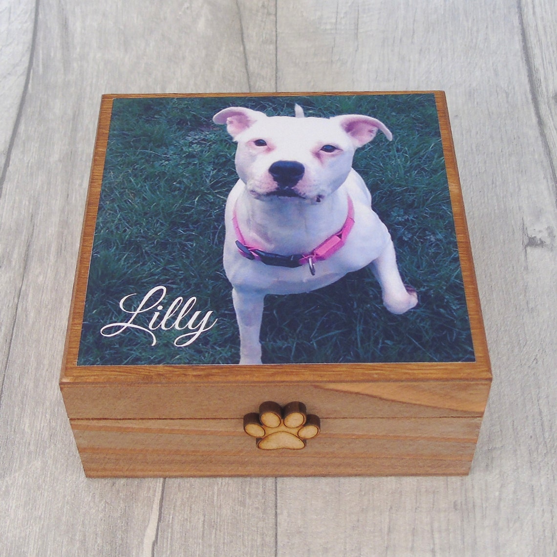 Personalised Pet Memorial Photo Album Memory Keepsake Box. Etsy