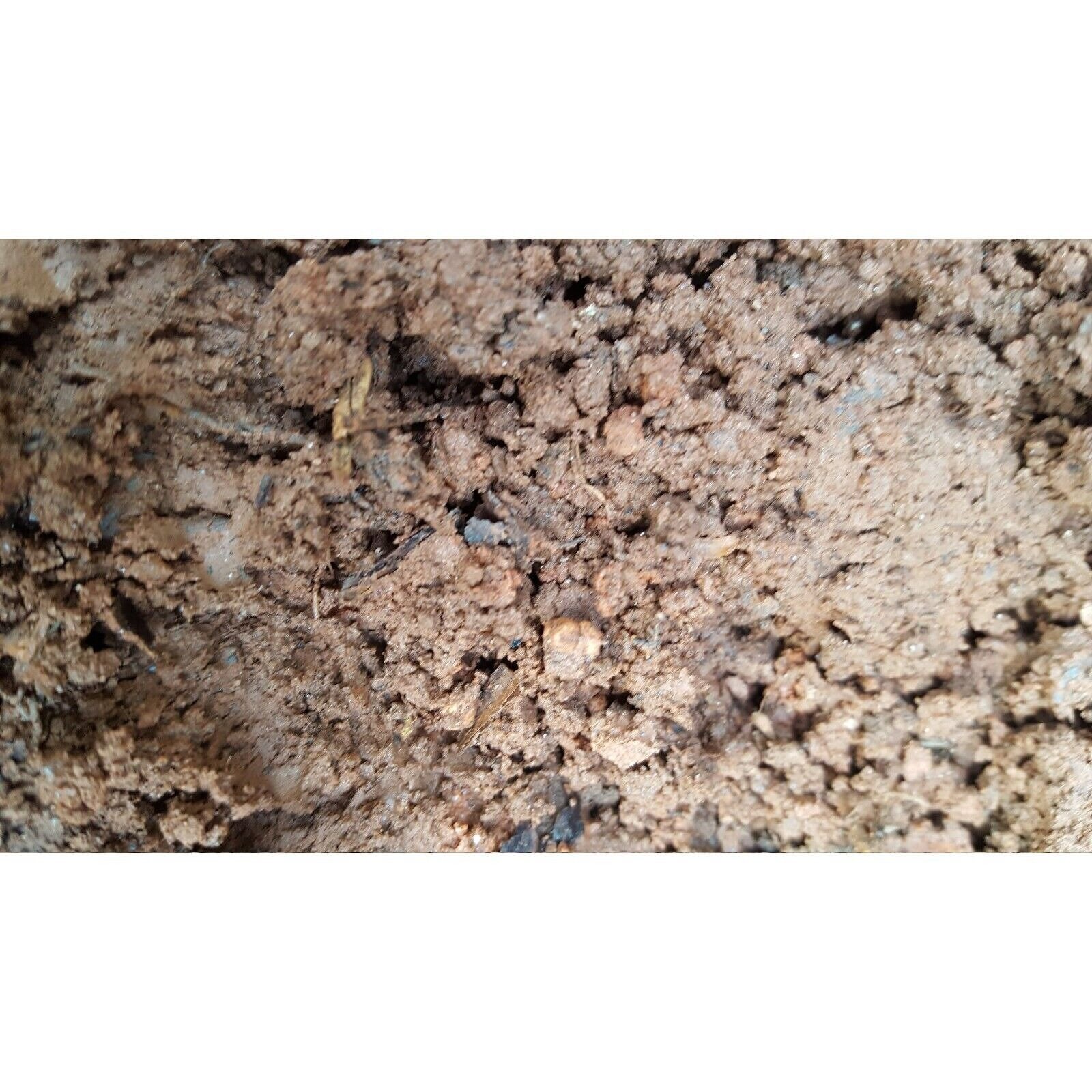 South Red Clay Dirt Soil Nutrient Rich Soil Retains Etsy