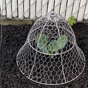 Gardeners Sturdy Metal Chicken Wire Bell Shaped Plant Protector and Cover Cage - Protect Plants From Animals & Birds