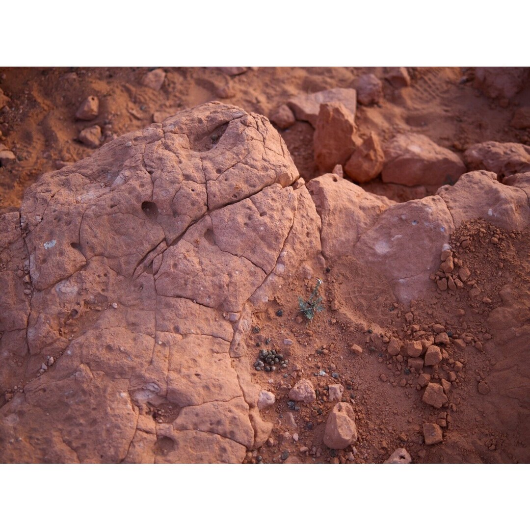 South Red Clay Dirt Soil Nutrient Rich Soil Retains Moisture Etsy