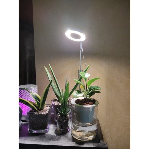 Plant Grow Light LED Growing Light Full Spectrum for Indoor Houseplant Lighting