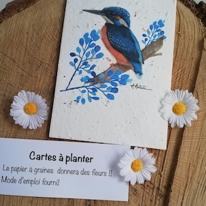 Carte à planter "Martin pêcheur " myosotis, pâquerettes, coquelicots, carte printemps, amitié, amoureux oiseaux