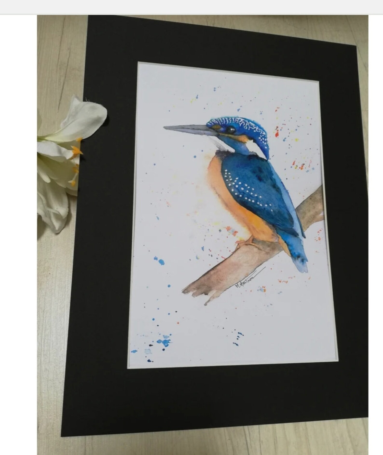 Martin pêcheur à l'aquarelle France - Etsy France