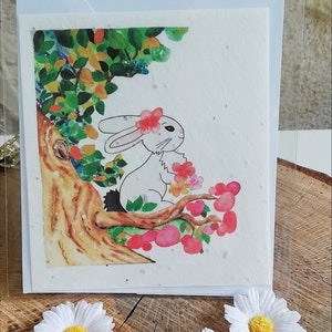 Carte à planter "Lulu, la magicienne de la forêt " myosotis, pâquerettes, coquelicots
