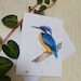 see more listings in the Cartes section