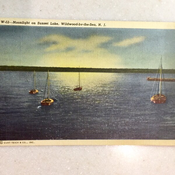 Vintage Postcard Wildwood by the Sea N J Moonlight on Sunset Lake Curt Tech Linen