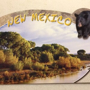 Cartolina d'epoca Gila River Wilderness New Mexico formato gigante