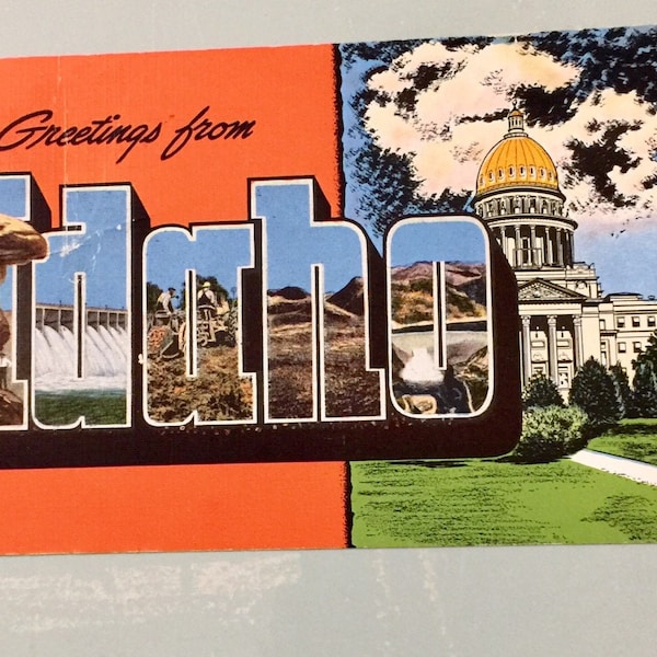 Vintage Postcard Greetings from Idaho ID