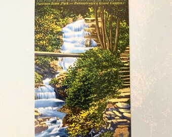 Vintage Postcard PA Grand Canyon Waterfall Harrison State Park Turkey Path Glossy