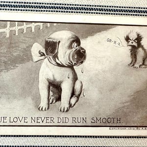 Vintage Hundepostkarte Wahre Liebe Neuheit Tierpostkarte