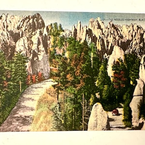 Vintage Postkarte Nadeln Road Black Hills South Dakota S D