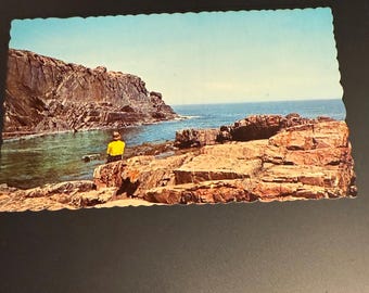 Vintage Postcard Bald Head Cliff Ogunquit ME