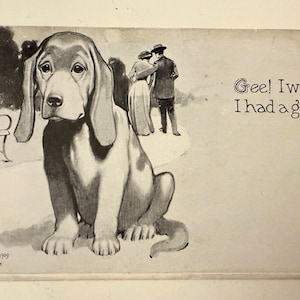 Postal vintage de perro: Ojalá tuviera novia. Postal novedosa de animal.