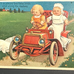 Cartão postal vintage engraçado cartão de novidade pássaros ao longo da estrada