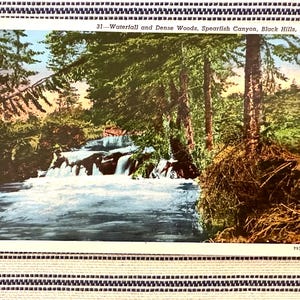 Vintage Postkarte Black Hills S D Spearfish Canyon Wasserfall & Dense Woods South Dakota