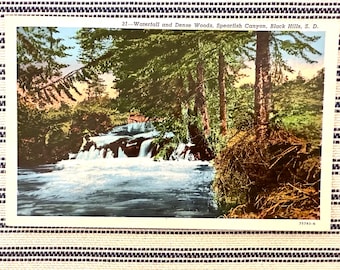 Vintage Postcard Black Hills S D Spearfish Canyon Waterfall & Dense Woods South Dakota
