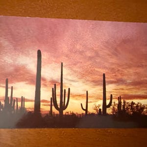 May include: A postcard featuring a desert landscape at sunset. Silhouetted saguaro cacti and other desert plants are set against a vibrant sky of orange, pink, and yellow hues.