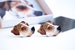 Etsy Design Awards Finalist 2022 - Custom Pet Cufflinks 