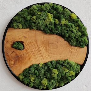 Custom Made Moss and Olive Wood Wall Art, Metal Frame Moss Wall Decor, Olive Wood and Moss Wall Art- Preserved Stabilized Moss Wall Decor