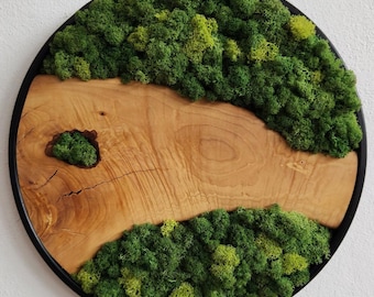 Custom Made Moss and Olive Wood Wall Art, Metal Frame Moss Wall Decor, Olive Wood and Moss Wall Art- Preserved Stabilized Moss Wall Decor