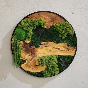 Custom Made Moss and Olive Wood Wall Art, Metal Frame Moss Wall Decor, Olive Wood and Moss Wall Art- Preserved Stabilized Moss Wall Decor