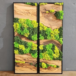 Olive Wood & Preserved Moss Wall Art: Unique Botanical Decor