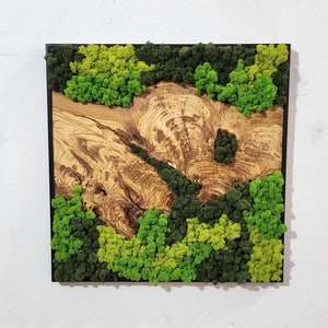 Custom Moss and Olive Wood Wall Art: Metal Frame, Preserved Moss Decor
