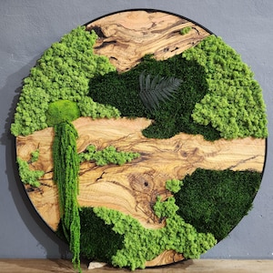 Large Olive Wood Framed Moss Wall Art - Stabilized Preserved Moss Decor