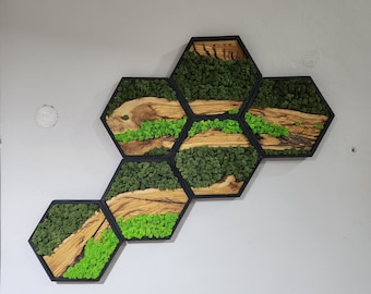 Hexagon Preserved Moss Wall Art: Olive Wood Frame, Black Finish