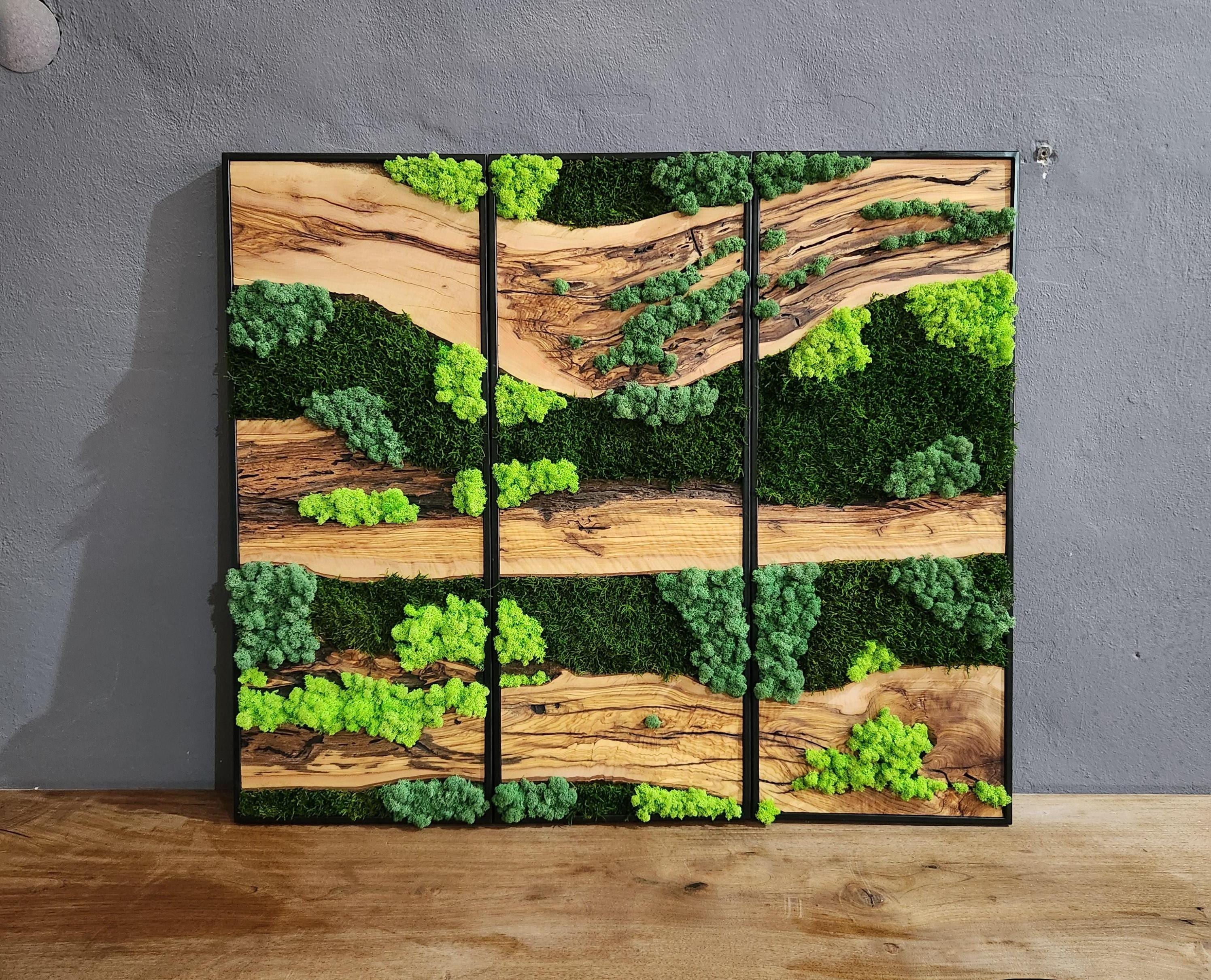 Olive Wood & Preserved Moss Wall Art: Botanical Home Decor