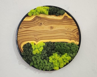 Custom Moss and Silverberry Wood Wall Art: Metal Frame Preserved Moss Decor