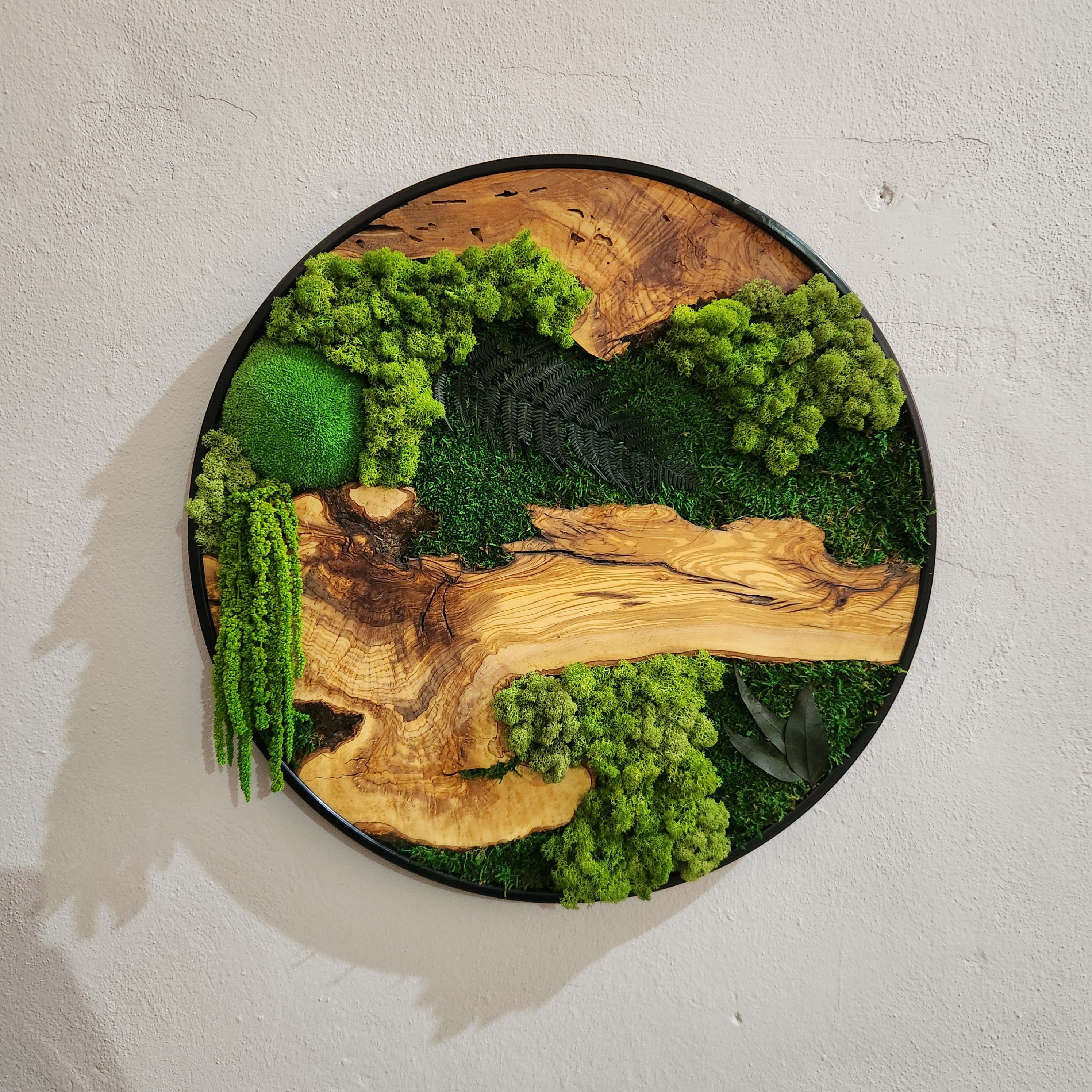 Custom Made Moss and Olive Wood Wall Art, Metal Frame Moss Wall Decor, Olive Wood and Moss Wall Art- Preserved Stabilized Moss Wall Decor