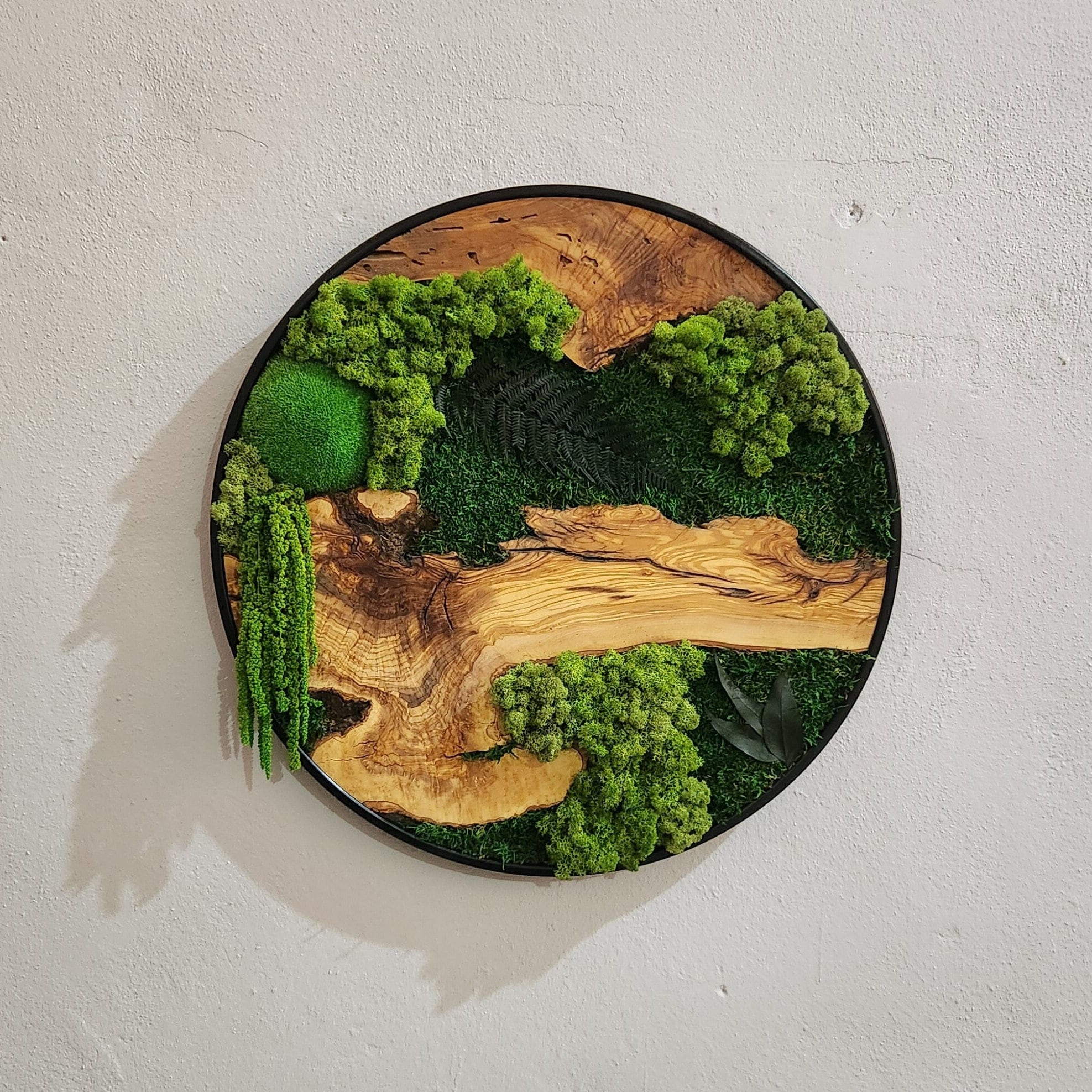 Custom Made Moss and Olive Wood Wall Art, Metal Frame Moss Wall Decor, Olive Wood and Moss Wall Art- Preserved Stabilized Moss Wall Decor