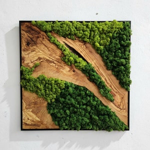 Custom Made Moss and Olive Wood Wall Art, Metal Frame Moss Wall Decor, Olive Wood and Moss Wall Art Preserved Stabilized Moss Wall Decor image 1