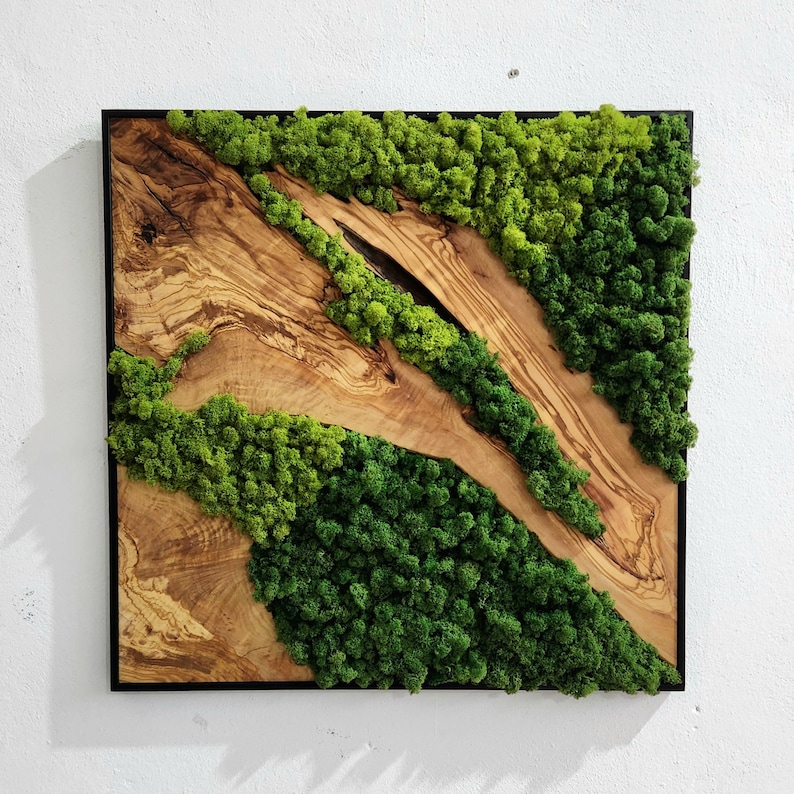 Custom Made Moss and Olive Wood Wall Art, Metal Frame Moss Wall Decor, Olive Wood and Moss Wall Art Preserved Stabilized Moss Wall Decor image 1