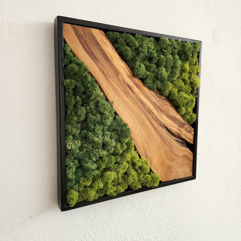 Custom Made Moss and Olive Wood Wall Art, Metal Frame Moss Wall Decor, Olive Wood and Moss Wall Art Preserved Stabilized Moss Wall Decor image 9