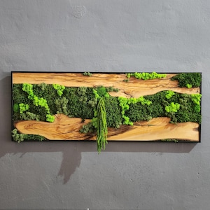 Handcrafted Moss & Olive Wood Wall Art: Rustic Greenery Decor