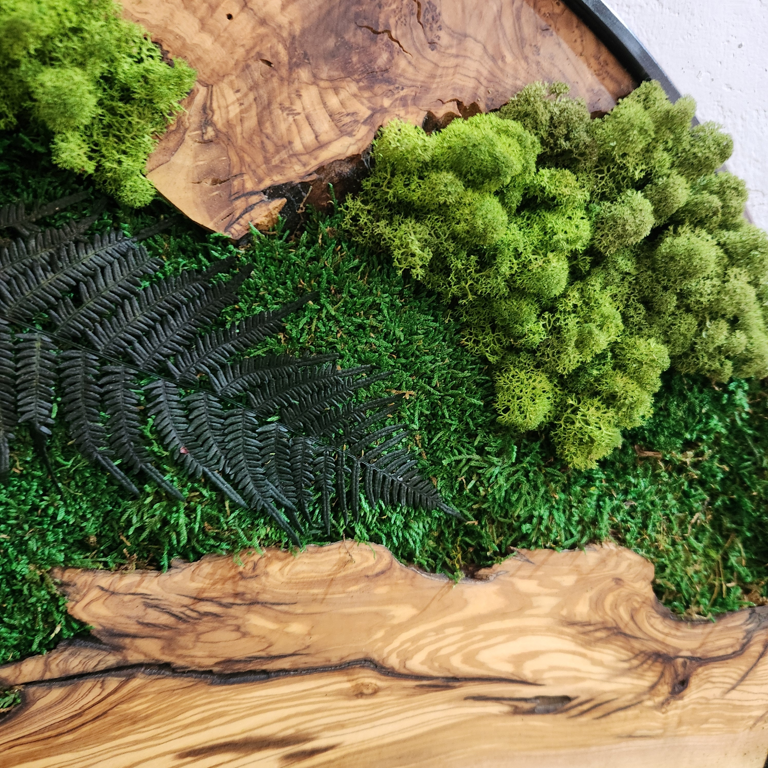 Custom Made Moss and Olive Wood Wall Art, Metal Frame Moss Wall Decor, Olive Wood and Moss Wall Art- Preserved Stabilized Moss Wall Decor
