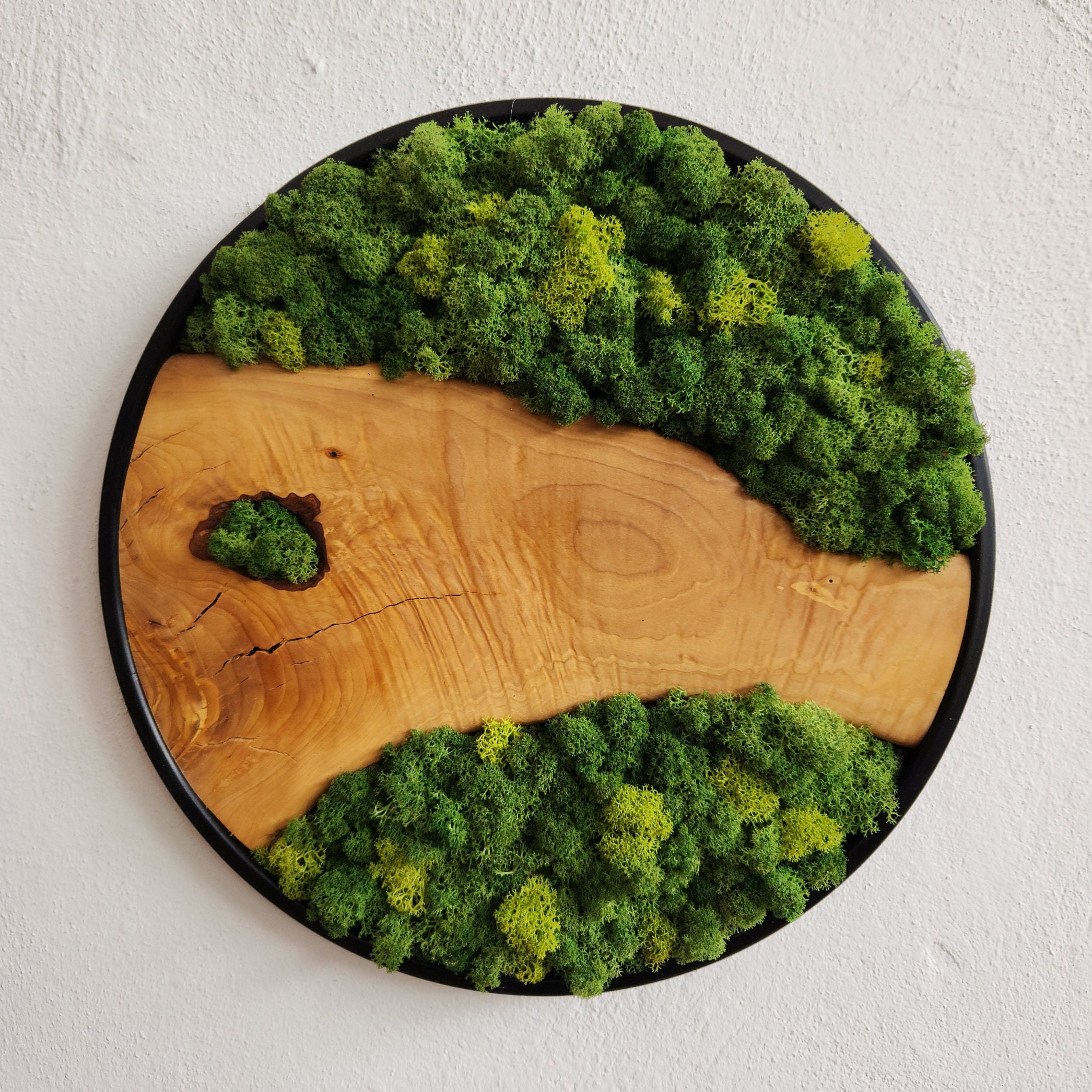 Custom Made Moss and Olive Wood Wall Art Rectangular | Premium Handmade Wall Sculptures 16 x 32