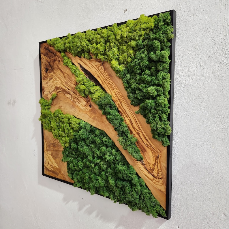 Custom Made Moss and Olive Wood Wall Art, Metal Frame Moss Wall Decor, Olive Wood and Moss Wall Art Preserved Stabilized Moss Wall Decor image 3