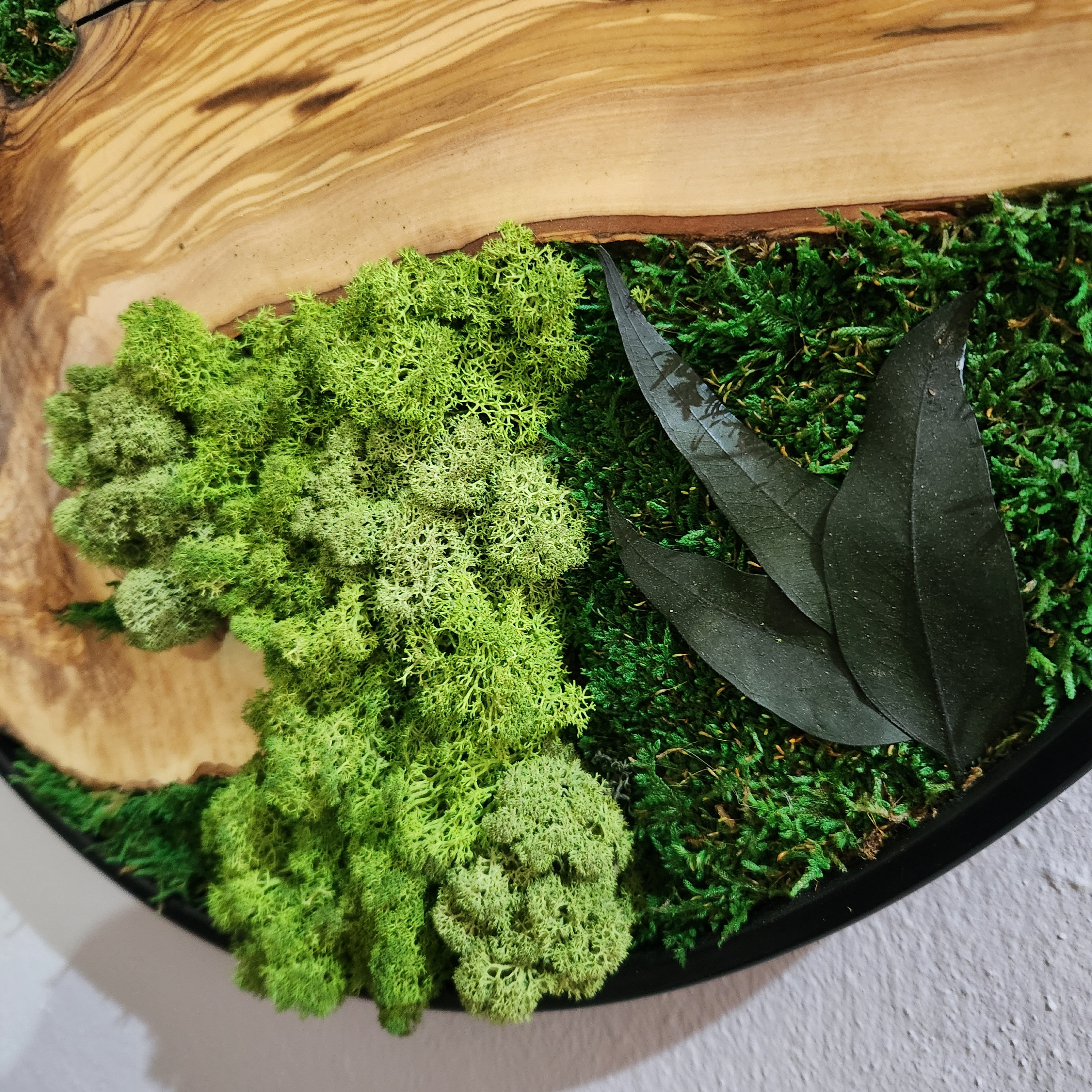 Custom Made Moss and Olive Wood Wall Art, Metal Frame Moss Wall Decor, Olive Wood and Moss Wall Art- Preserved Stabilized Moss Wall Decor