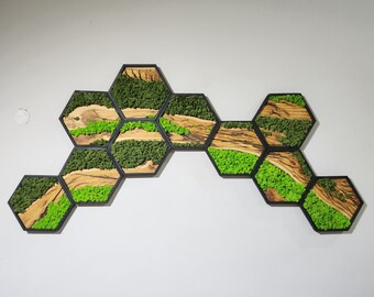 Hexagon Preserved Moss Wall Art: Black Frame, Olive Wood Accent