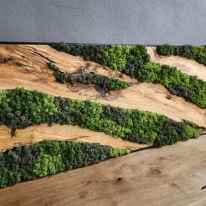 Moos & Holz Wandkunst, Einzigartiges, individuelles Olivenholz Und Moos Wanddekor, Rustikales Grün Dekor, Hotellobby Wand Kunst Dekor, Hauswand Dekor