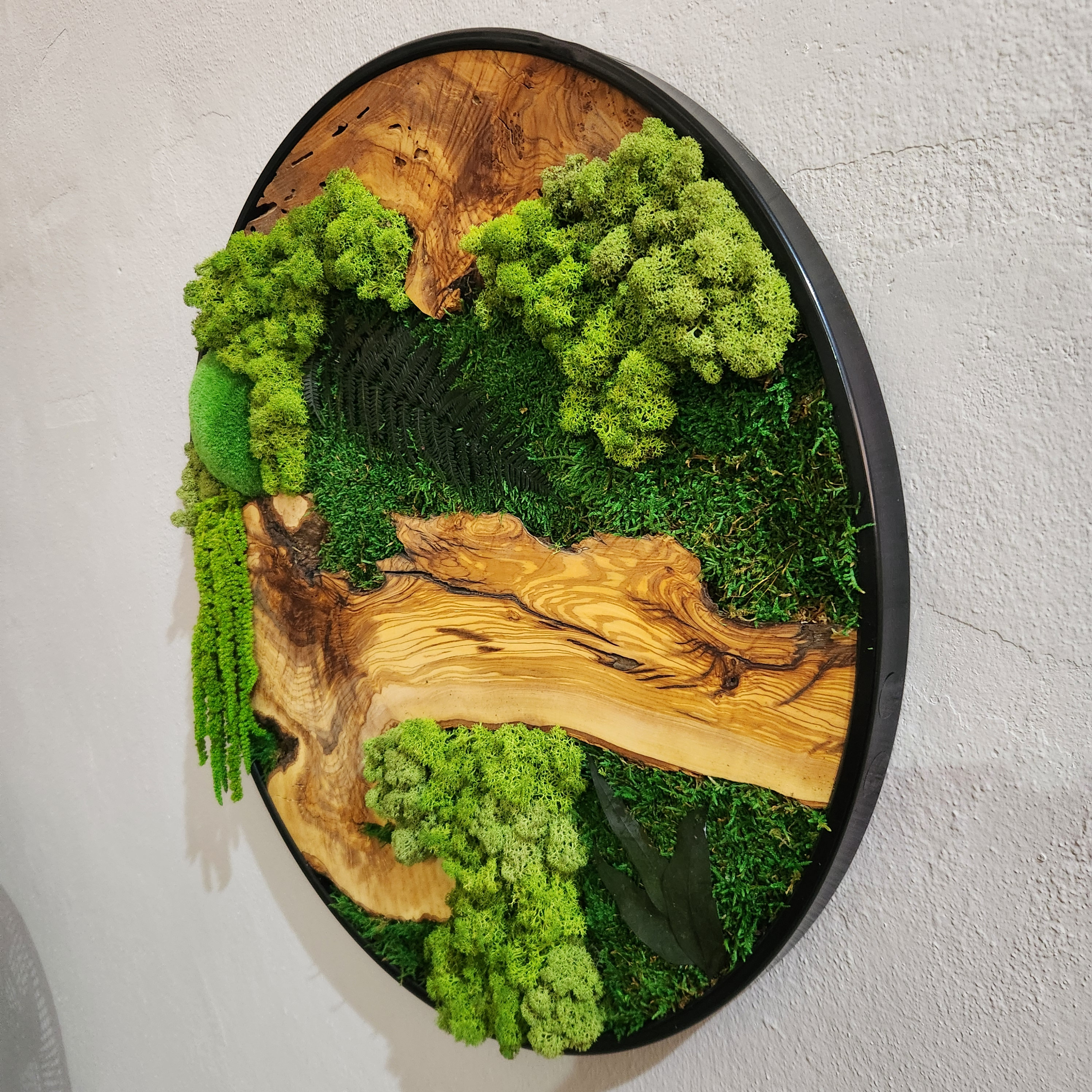 Custom Made Moss and Olive Wood Wall Art, Metal Frame Moss Wall Decor, Olive Wood and Moss Wall Art- Preserved Stabilized Moss Wall Decor