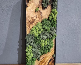 May include: A framed wall art piece featuring a green moss design on a wood background. The frame is black and the moss is a variety of shades of green.