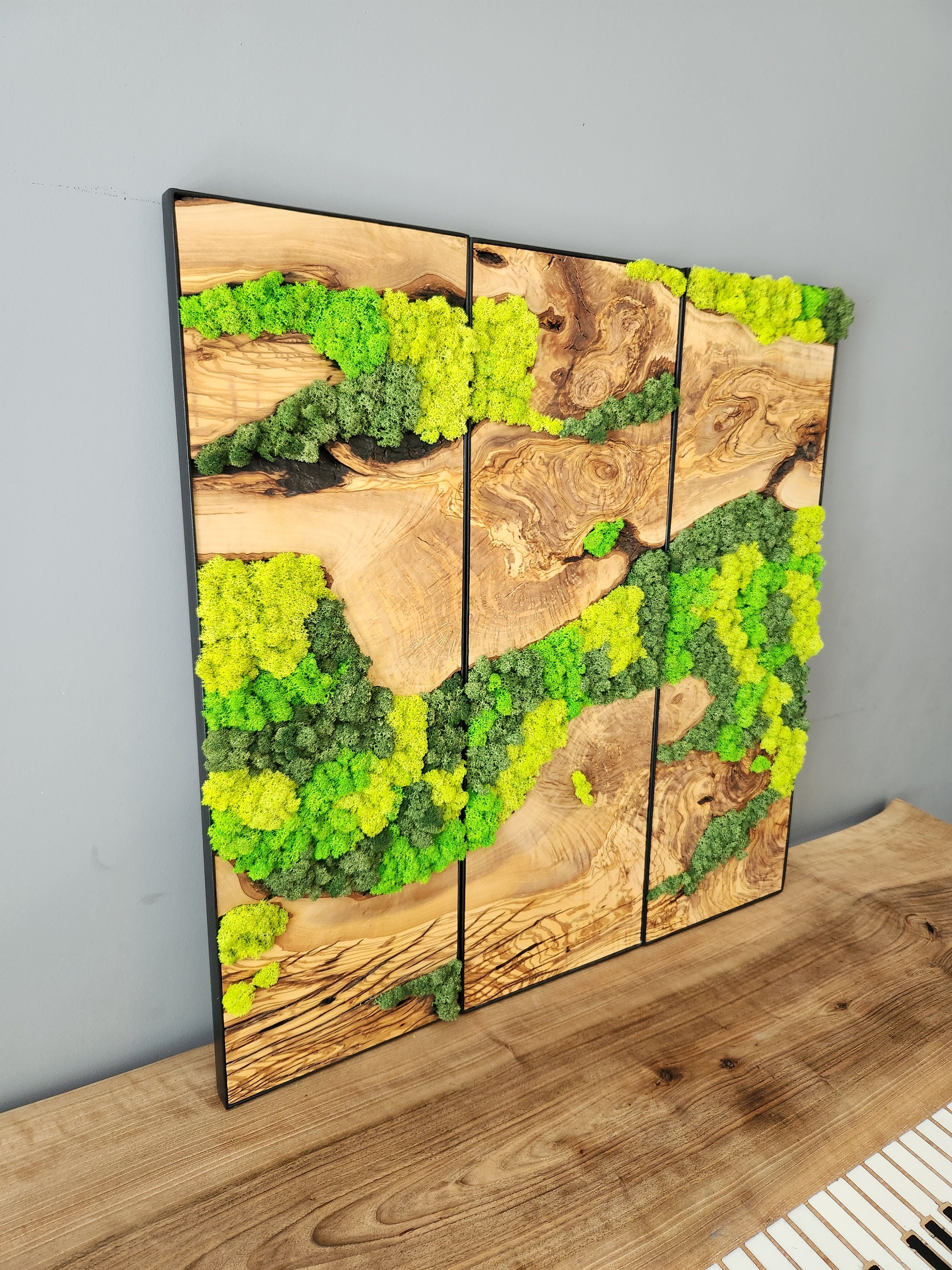 Moss Wall Art 48x24 – HollyBee and Company